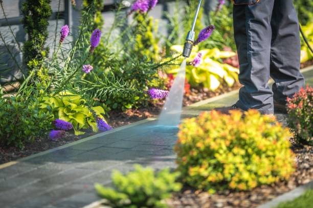 Lanett, AL Pressure Washing Services Company